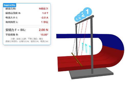 3D探究影响通电导线在磁场中受力的因素